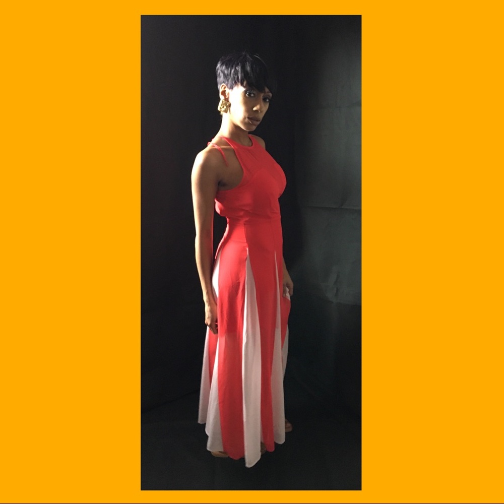 Express Dress - Picture 3 of 4